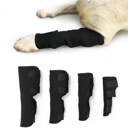 Elastischer Verband für Hunde