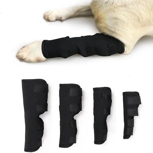 Elastischer Verband für Hunde