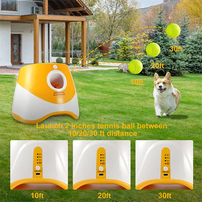 Automatic Ball Launcher for Dogs