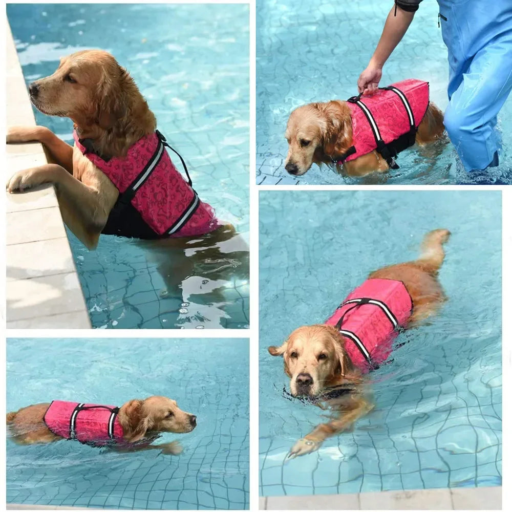 Schwimmweste für Hunde