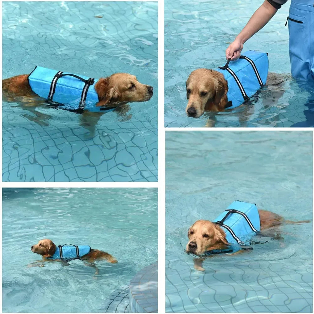 Schwimmweste für Hunde